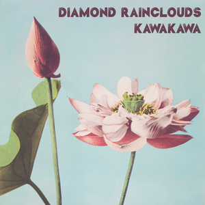 国产成人无码8X视频
